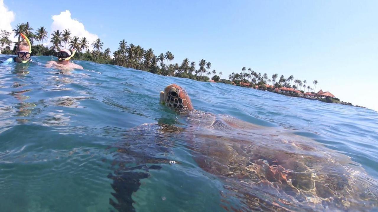 Turtle Beach House Batigama エクステリア 写真