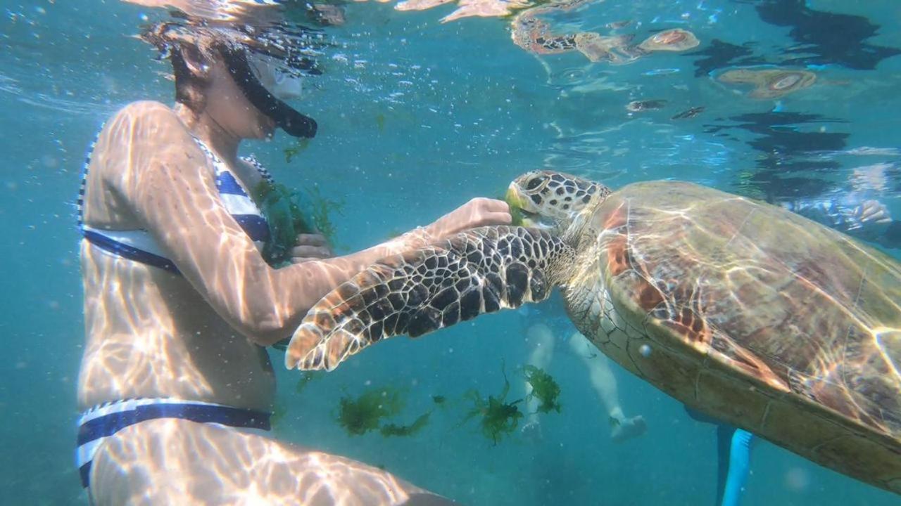 Turtle Beach House Batigama エクステリア 写真