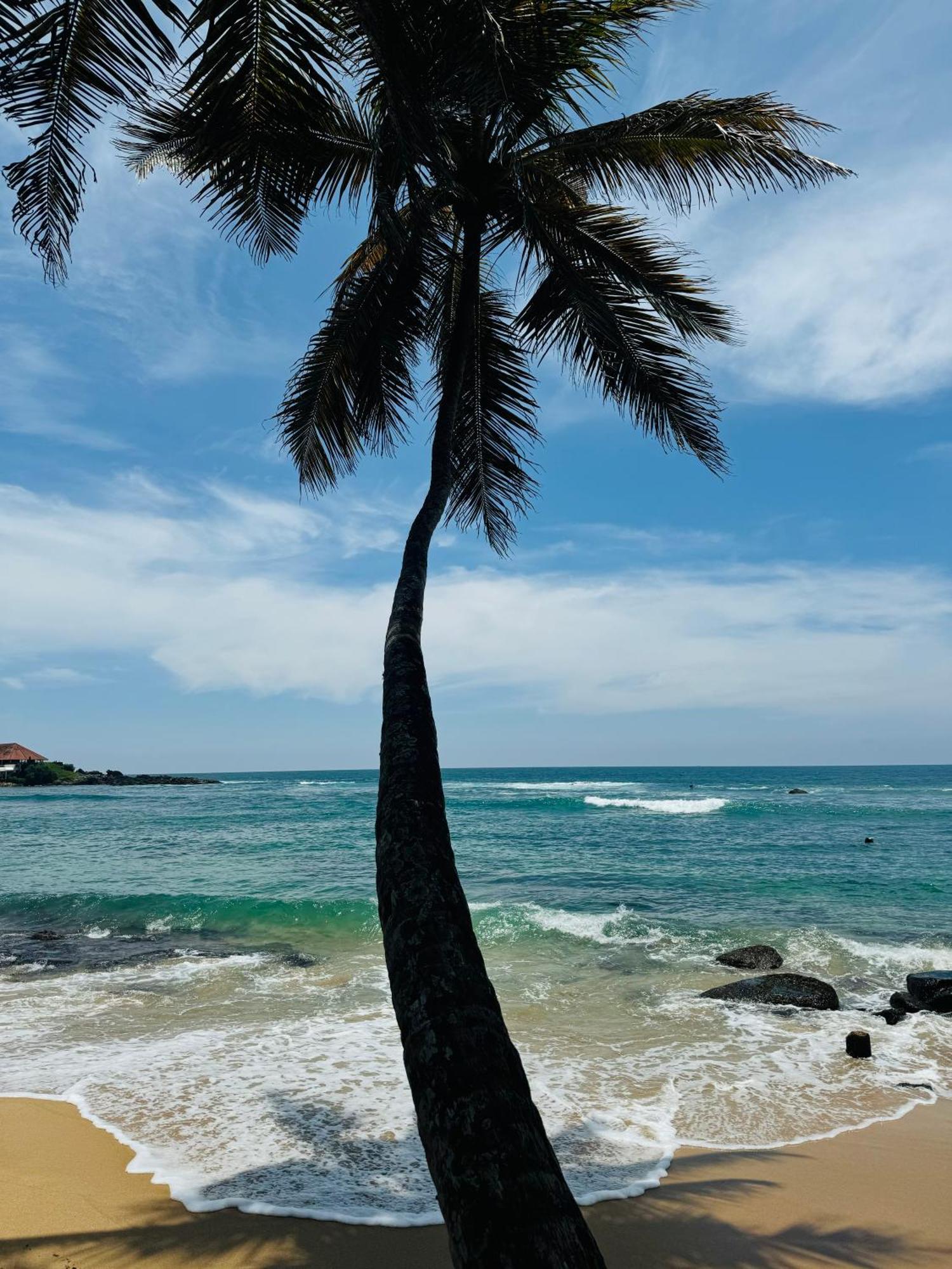 Turtle Beach House Batigama エクステリア 写真
